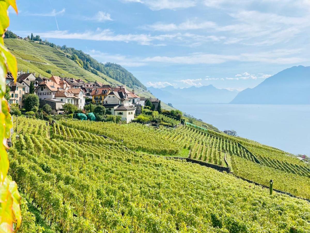 Montreux Holiday Home Eksteriør bilde