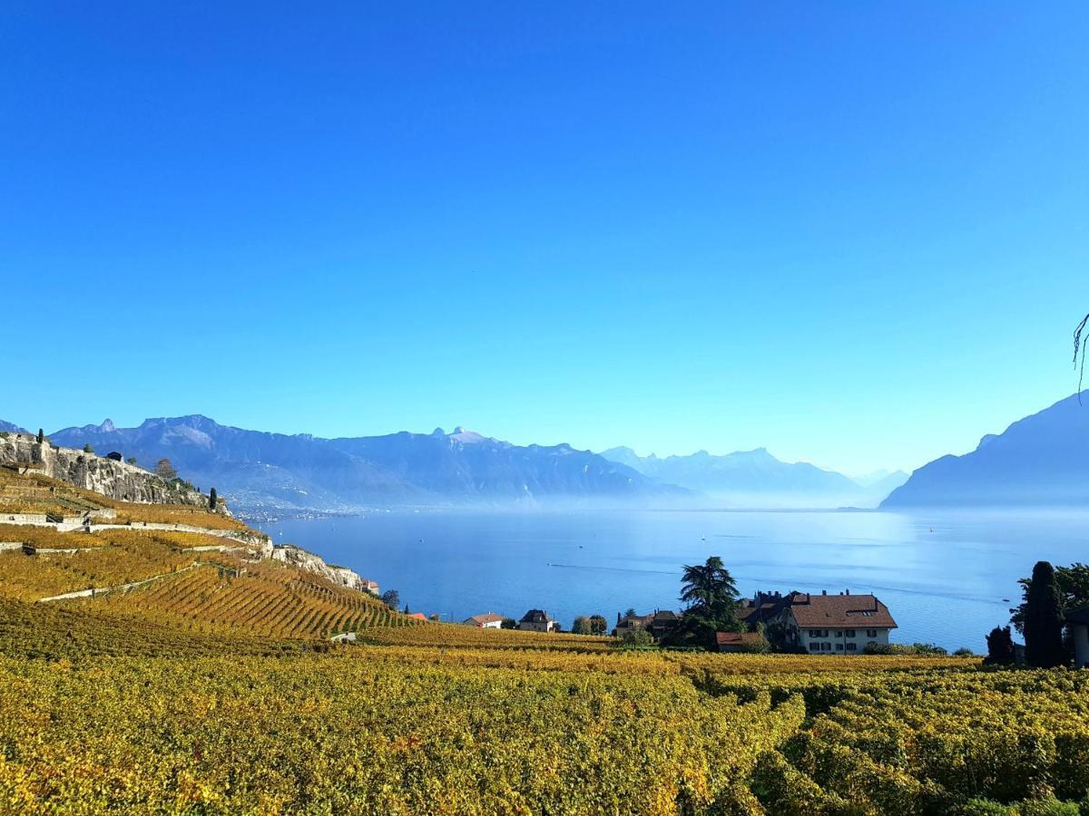 Montreux Holiday Home Eksteriør bilde